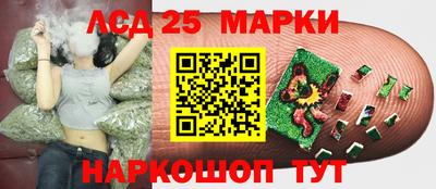 мяу мяу мука Можайск