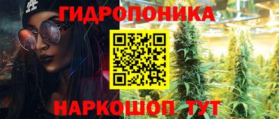 jwh Моздок