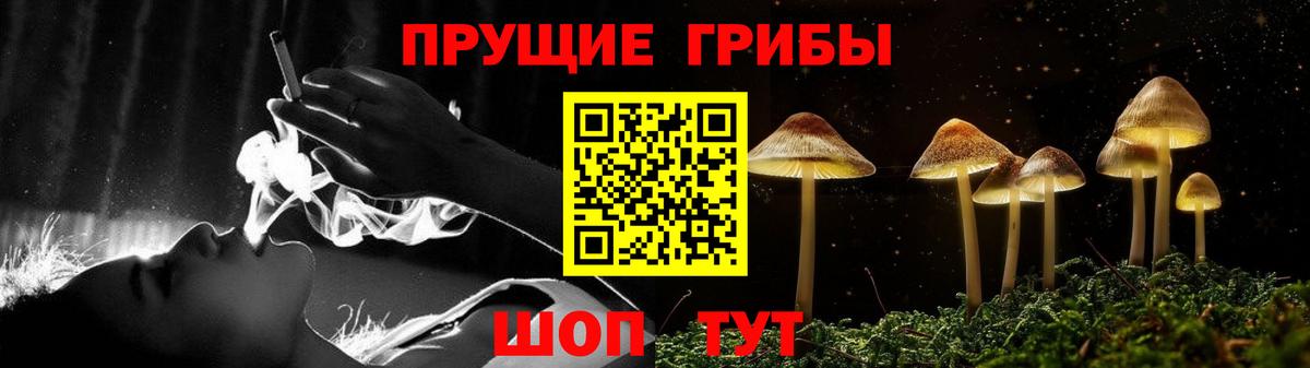 Галлюциногенные грибы Psilocybine cubensis  Вход с VPN  Галлюциногенные грибы мухоморы  Реутов 